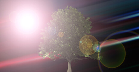 abstract illusttraion  tree and moon isolated whit speed light color motion blur.