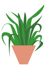 Flower in a pot. The concept of the decor of rooms and premises. Cartoon style. Used in web design for collages. Simple flat vector drawing.