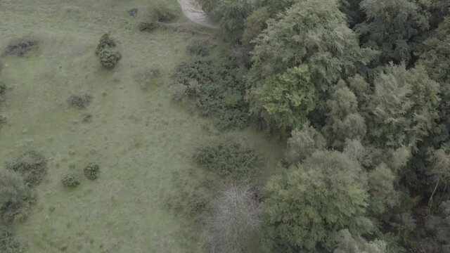 Aerial drone shot flying over forest and lake while man walks along tightrope over the water - Daytime. 