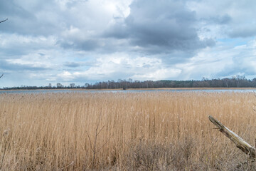 Mikoszewskie Lake near Estuary Vistula River to the Baltic Sea in Poland.