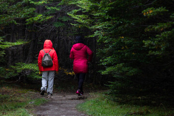 Obraz premium Contrast of colors of people walking in Tierra del Fuego National Park, Ushuaia.