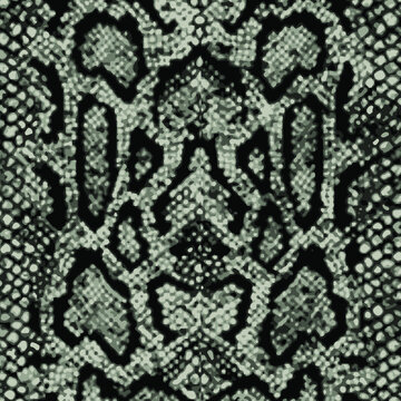 Animal print, snake skin texture background