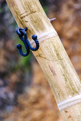 hammock hook full color