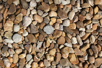 nature pebbles background or texture