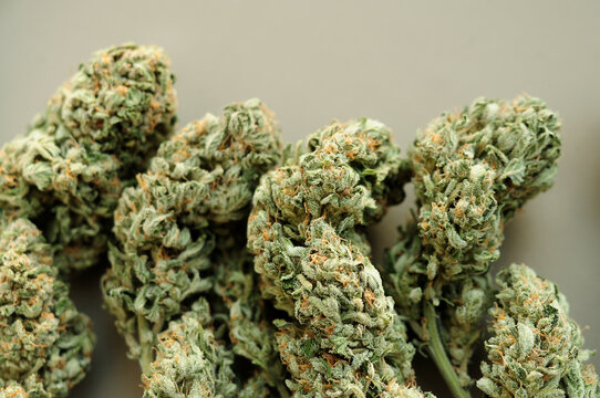 Marijuana buds close-up. Medicinal cannabis flowering on brown background. Hemp recreation, medical use, legalization.