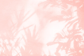 Leaf shadow and tree branch on wall.  Nature leaves tree branch pink shadow and light from sunlight...