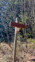 Schwarzwald im Frühling 2021