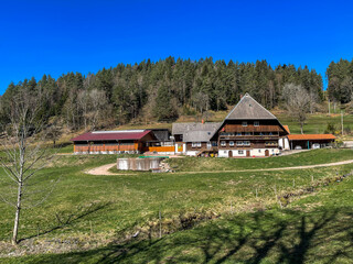 Schwarzwald im Frühling 2021