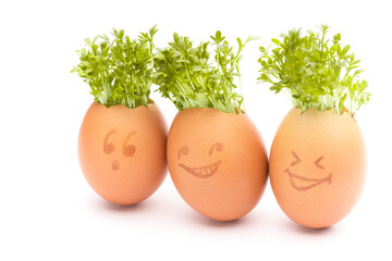 egg shells with faces drawn on, Easter eggs, fresh sprouts in an egg shell, sprout heads, watercress hair