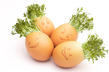 easter eggs, fresh sprouts in an egg shell, sprout heads, watercress hair, Growing Cress in Egg Shells, eggheads, egg shells with faces drawn on, Eggheads With Cress Hair, Fresh cress in an egg shell