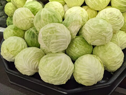 Various Cabbage Available for Purchase