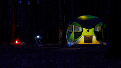 Camping in the Forest
