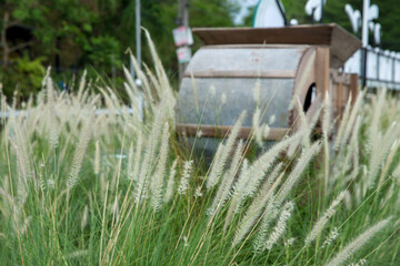 Grass flowers and Rice milling machine