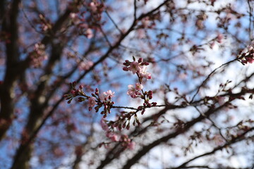 bird on tree