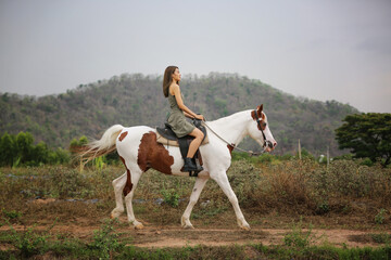 Fototapeta na wymiar Women on skirt dress Riding Horses On field landscape Against Sky During Sunset