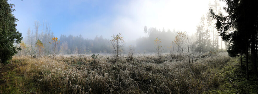 morning haze