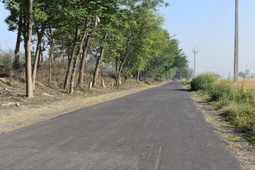 Village road of Patiala, Punjab, India.
Indian villages still dont have roads.