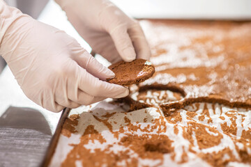 Hands in white gloves holding round biscuit