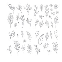 Flowers and leaves doodle collection. Hand drawn floral ornaments. Decorative plants illustrations.