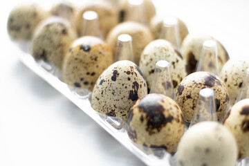 quail eggs on a white background