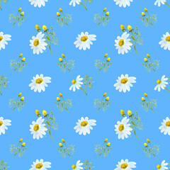 Pattern with daisies