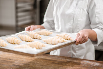 Hands with tray of raw croissants prepared for baking