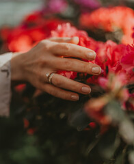 Obraz na płótnie Canvas wedding rings on hands in a roses garden