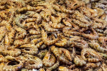 Mediterranian shrimps on the market.