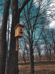 bird house on tree