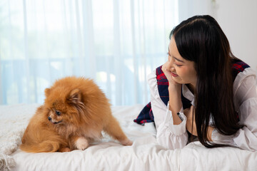Young pretty Asian woman lying and looking at Brown Pommeranian dog on white bed in bedroom
