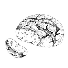 Bakery product sketch. Bread on white background