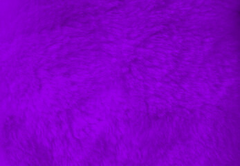 Purple fur background close up view.