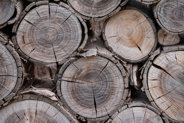 Gray trunks of trees cut and stacked - wooden background.