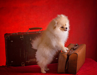 waiting for trips and travel