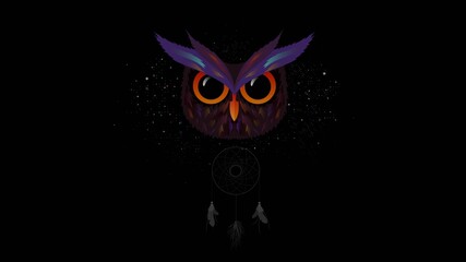 Background image colorful Owl dream Catcher