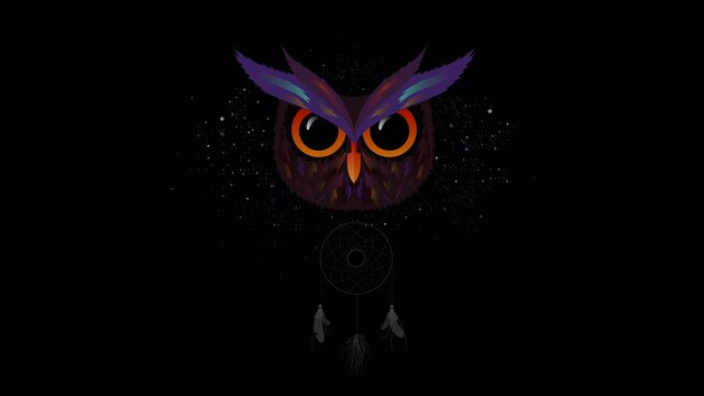 Background image colorful Owl dream Catcher