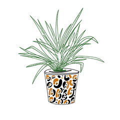 Aloe vera. Cactus. Arizona - Southwest USA, Mexico. Vector illustration.