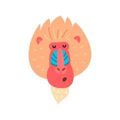 Baboon with a happy face, vector illustration on a white background