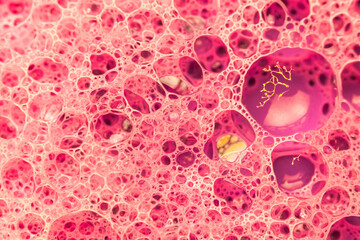 Abstract circular shaped elements as background template