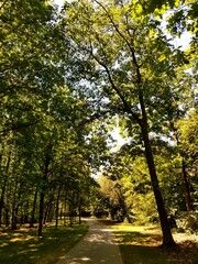 path in the park