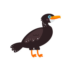 Vector illustration on white background, cormorant bird