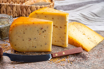 Cheese collection, pieces of hard yellow Dutch gouda cheese with dried caraway, mustard, cumin, fenugreek, pepper seeds - obrazy, fototapety, plakaty