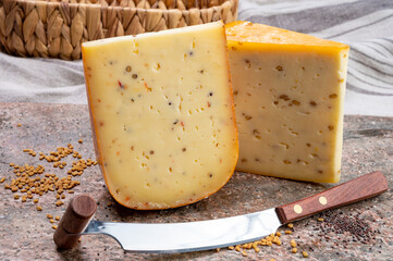 Cheese collection, pieces of hard yellow Dutch gouda cheese with dried caraway, mustard, cumin,...