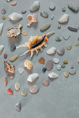 Many seashells and sea pebbles on golden sand. Summertime, vacation, travel and tourism concept - seashell lie on beach sand, copy space, flat lay background