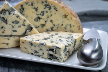 Cheese collection, piece of French blue cheese fourme d'ambert