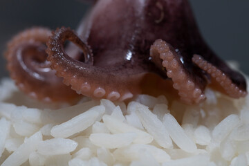Mediterranean Kitchen. Octopus with rice. Close-up 