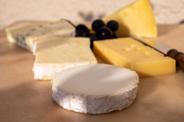French cheese collection on marble board, emmental, carre de aurillac, petit cantal AOP Jeune, buche chevre, brie