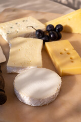 French cheese collection on marble board, emmental, carre de aurillac, petit cantal AOP Jeune, buche chevre, brie