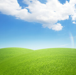 Fototapeta premium Green grass field, blue sky with clouds on horizon and rainbow background
