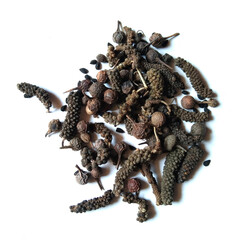 long pepper on white Background